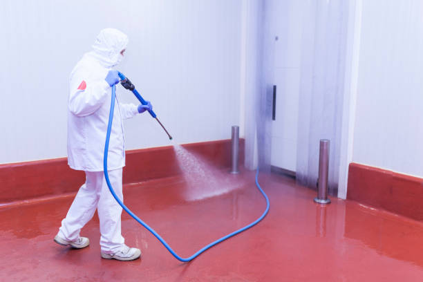 Best Pre-Holiday Cleaning  in Wellston, MO
