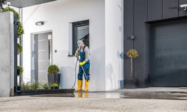 Best Gutter Cleaning  in Wellston, MO